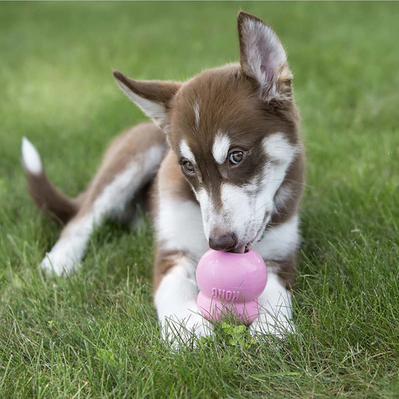 KONG Easy Treat Puppy Chicken Paste 226g