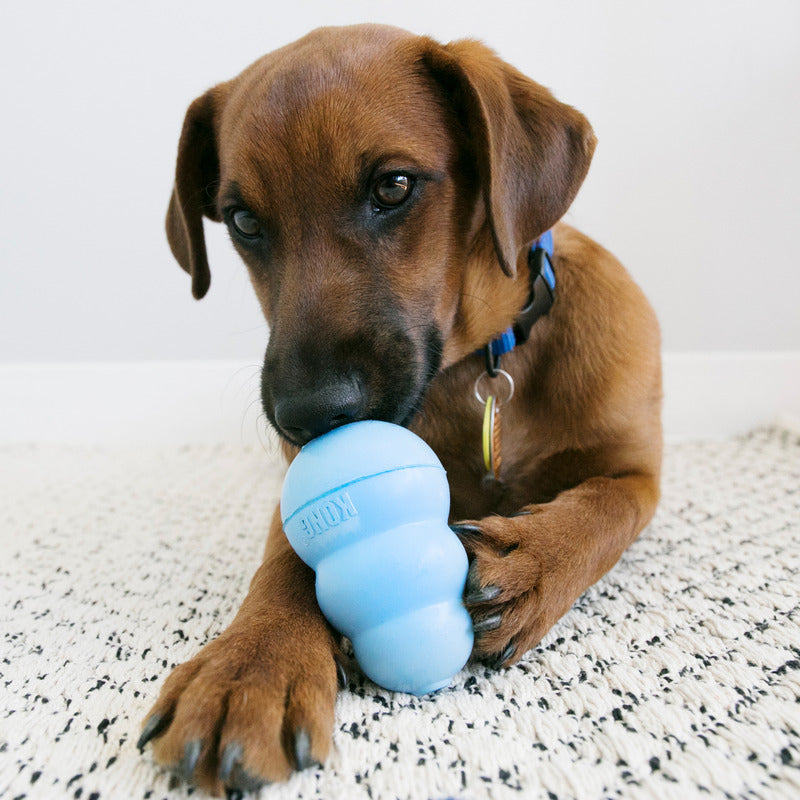 KONG Puppy Snacks Small 200g