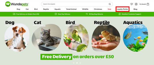 New loyalty programme