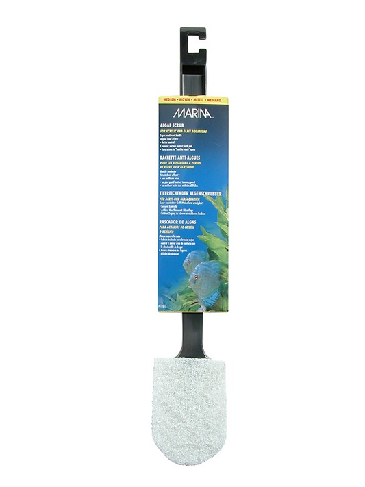 Marina Algae Scrub Brush Medium