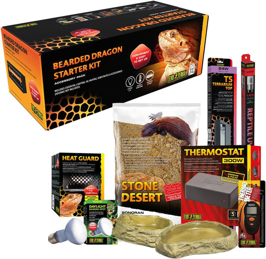 Exo Terra Bearded Dragon Kit