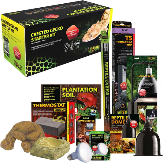 Exo Terra Crested Gecko Kit