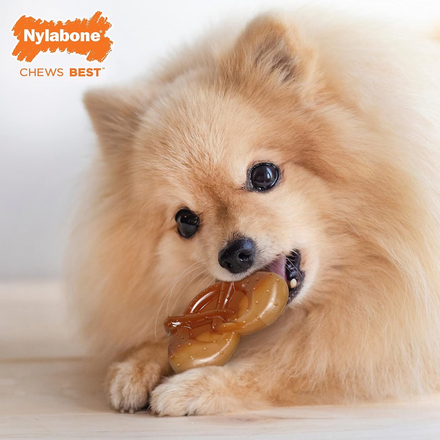 Nylabone Pretzel Bacon & Peanut Butter Small Up To 11kg