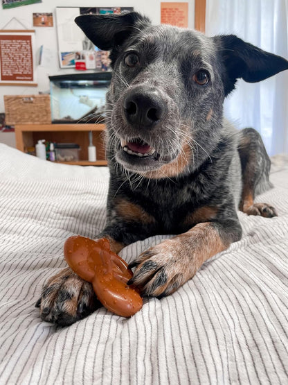 Nylabone Pretzel Bacon & Peanut Butter Small Up To 11kg