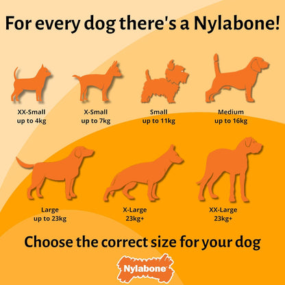 Nylabone Extreme Basted Bone Medium