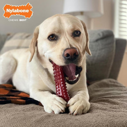 Nylabone Extreme Basted Bone X Large