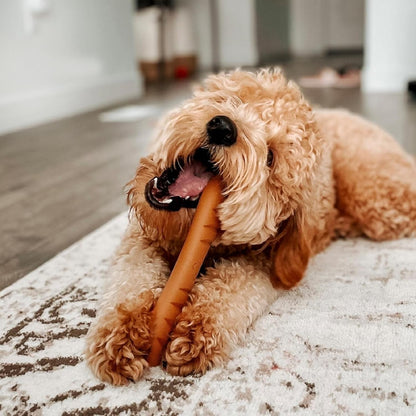 Nylabone Extreme Baguette Roast Chicken Large