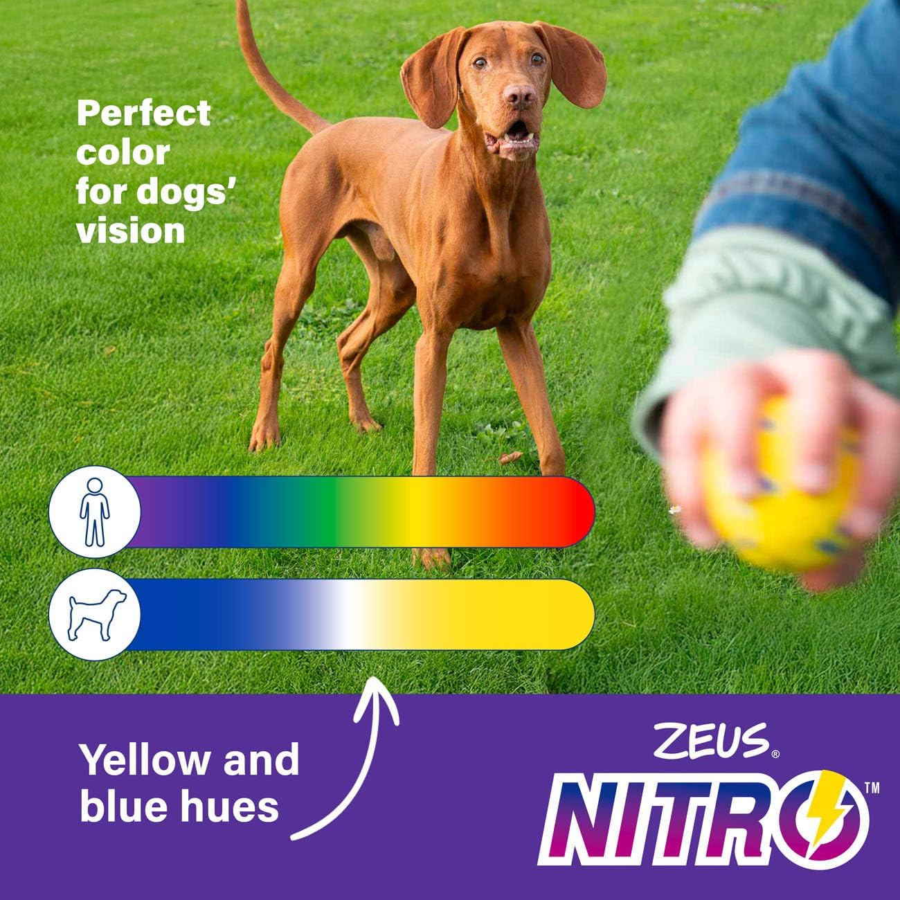 Zeus Nitro Weighted Buoy With Rope 26cm