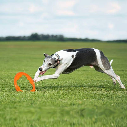 Bionic Toss-N-Tug Turbo 22.7cm