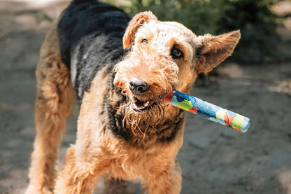 Chuckit! Eco Fetch Day Ultra Stick 1pc