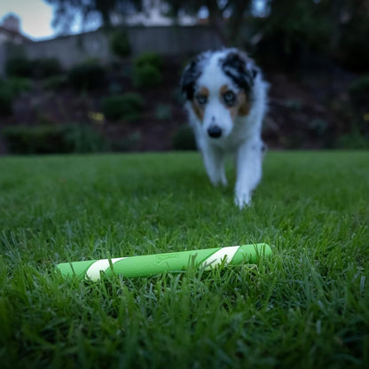 Chuckit! Max Glow Ultra Fetch Stick 28cm