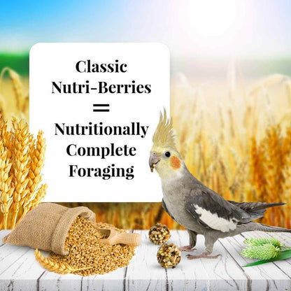 Lafeber's Cockatiel Nutriberries Original 284g