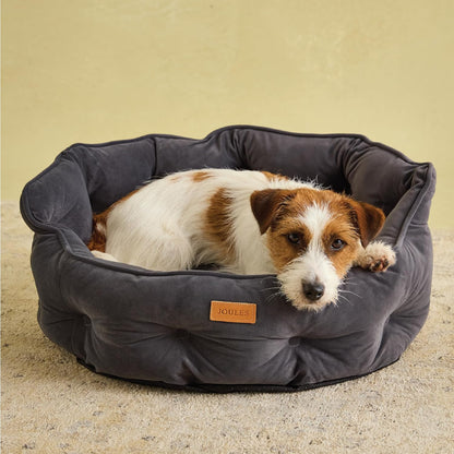 Joules Chesterfield Pet Bed Grey Small
