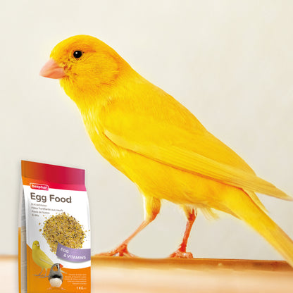 Beaphar Egg Food For Canaries & Finches 1kg
