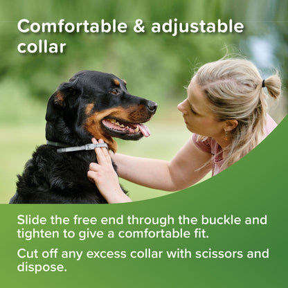 Beaphar VETOpure Plant-Based Flea & Tick Collar for Dogs (Green) – 65 cm, 12‑Week Protection