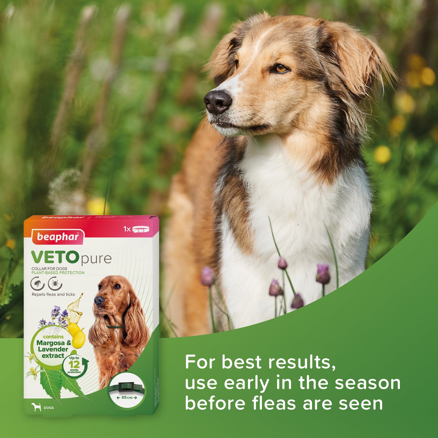 Beaphar VETOpure Plant-Based Flea & Tick Collar for Dogs (Green) – 65 cm, 12‑Week Protection