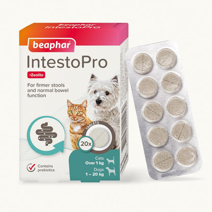 Beaphar IntestoPro Small Dog Cat 20 Tab