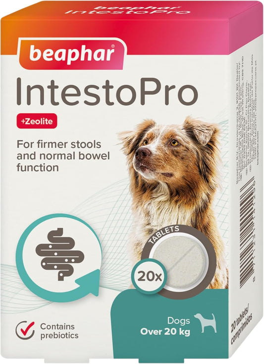 Beaphar IntestoPro Large Dog 20 Tab