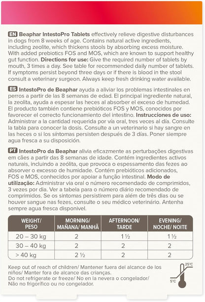 Beaphar IntestoPro Large Dog 20 Tab