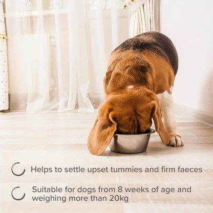 Beaphar IntestoPro Large Dog 20 Tab