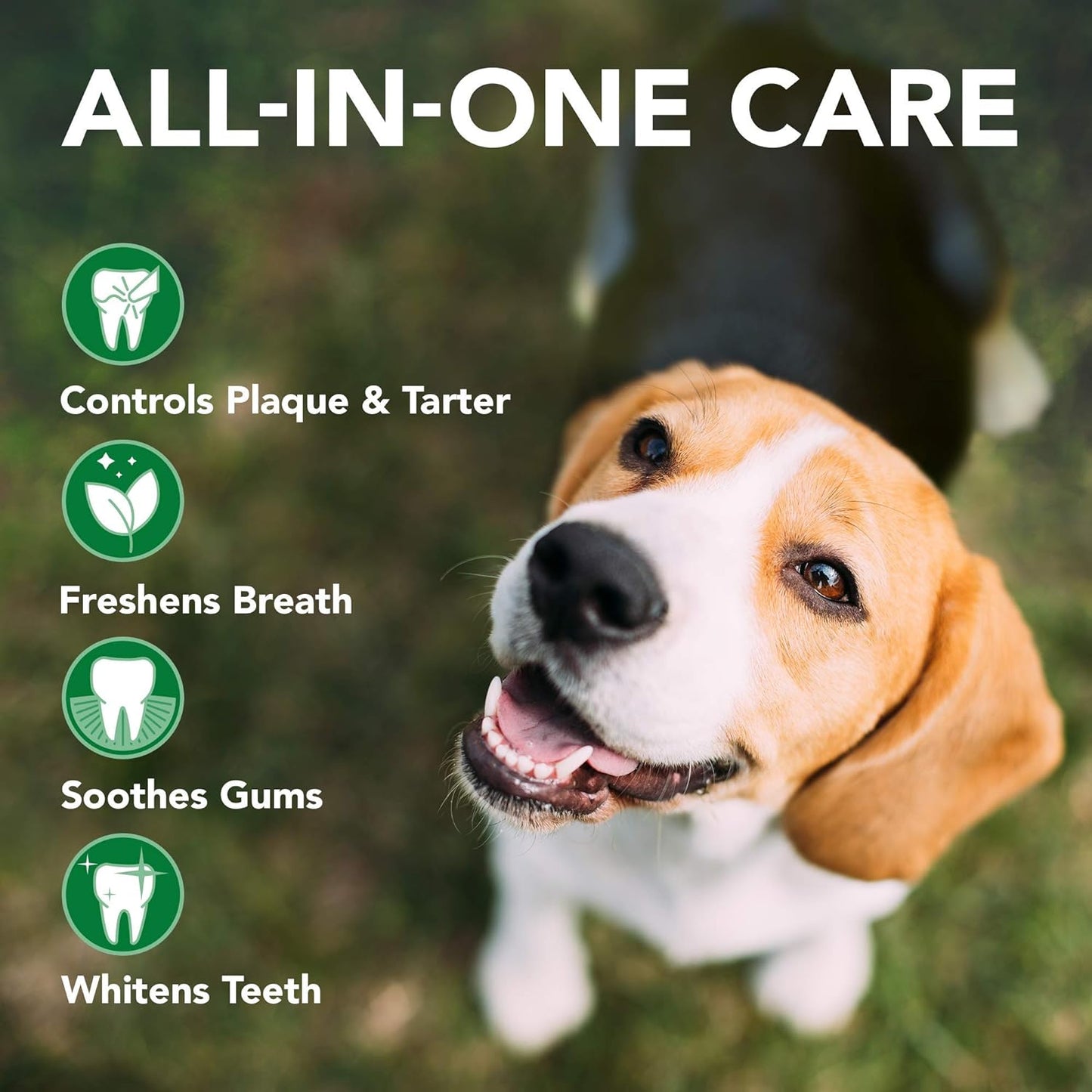 Vets Best Dental Gel Toothpaste 100g