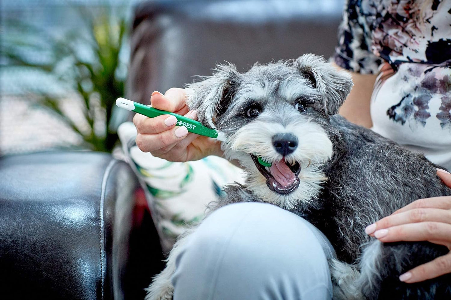 Vets Best Triple Headed Toothbrush
