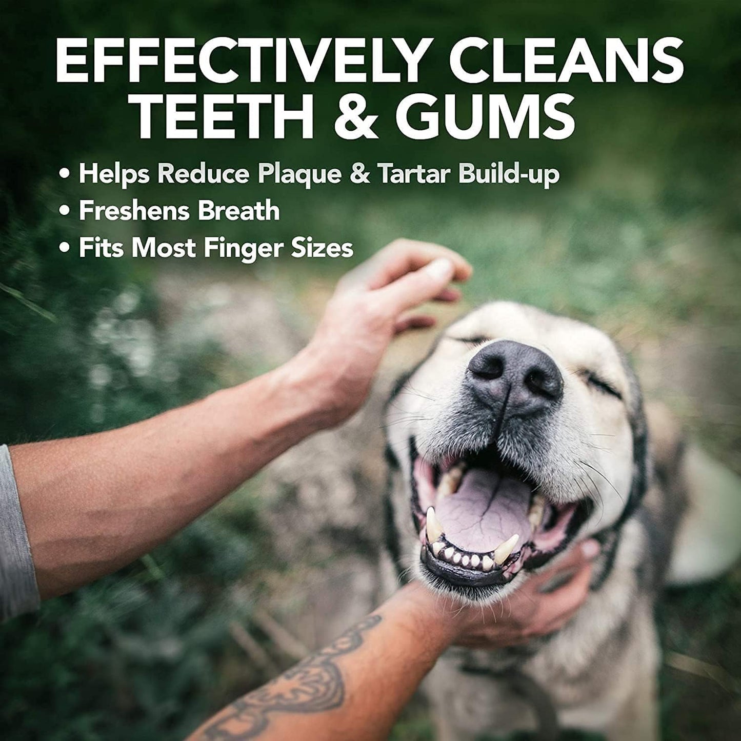 Vets Best Clean Teeth Finger Pads 50 Pad Tub