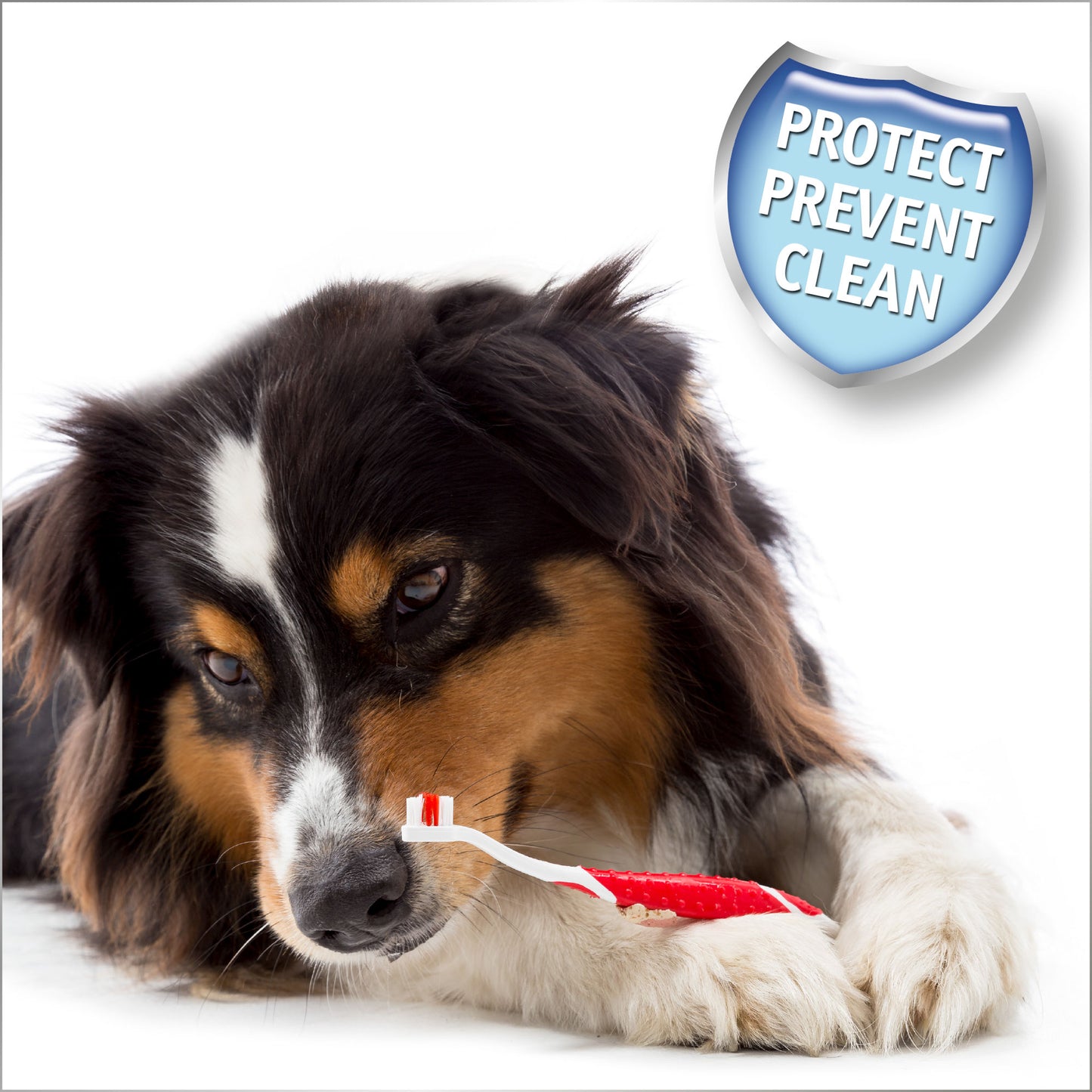 Beaphar Dog & Cat Toothbrush & Toothpaste Kit