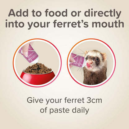 Beaphar Ferret Multi Vitamin Malt Paste 100g