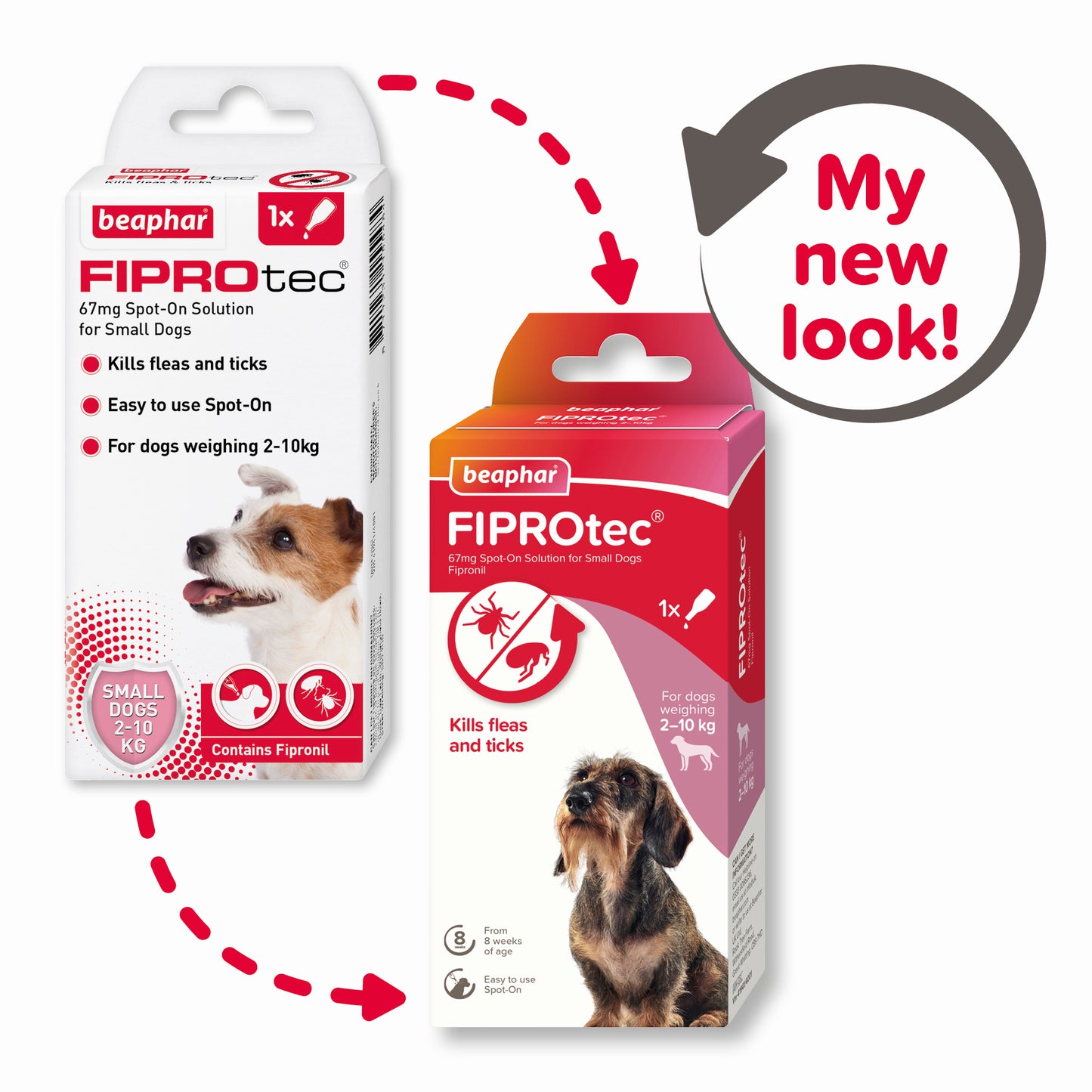 BeapharFiprotec Small Dog 2-10Kg 1 Treatment