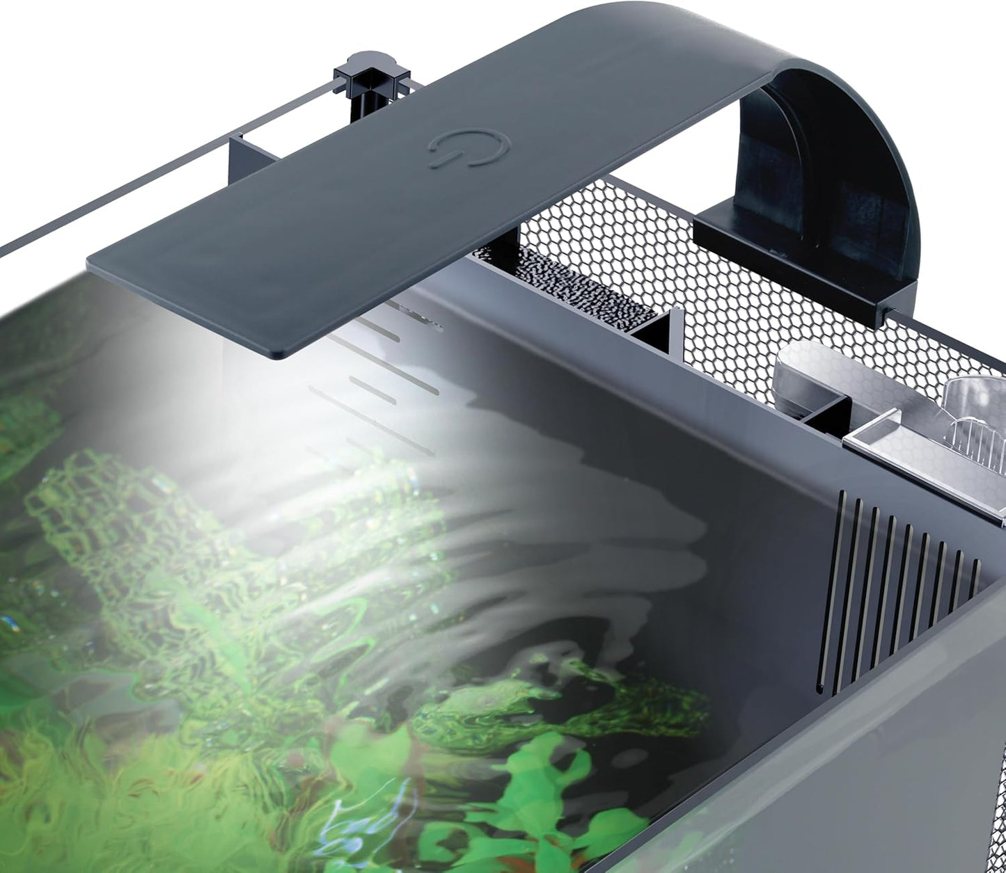 Fluval 20L Betta Aquarium Kit