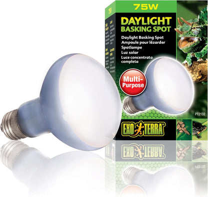 Exo Terra Daylight Basking Spot Bulb 75W ES | Reptile Heat & Light Lamp for Basking Areas