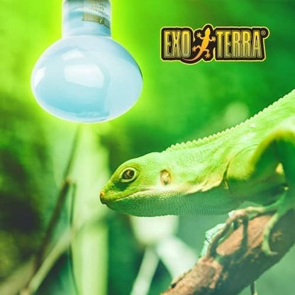 Exo Terra Daylight Basking Spot Bulb 75W ES | Reptile Heat & Light Lamp for Basking Areas