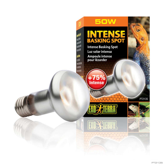 Exo Terra Sunglo Intense Basking Spot 50w