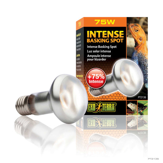 Exo Terra Sunglo Intense Basking Spot 75w