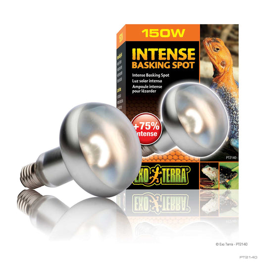 Exo Terra Sunglo Intense Basking Spot 150w