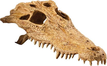 Exo Terra Crocodile Skull Vivarium Decoration