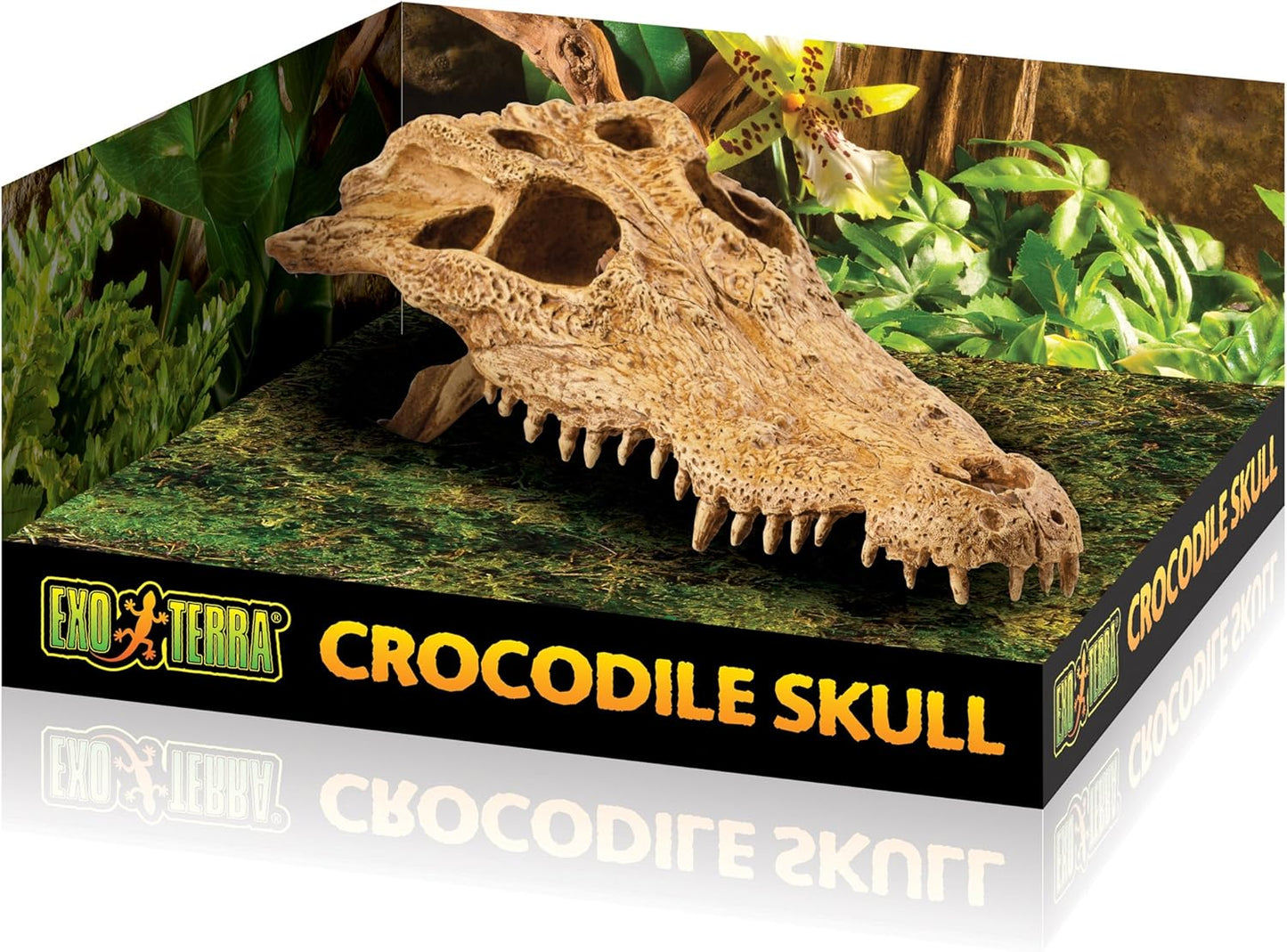 Exo Terra Crocodile Skull Vivarium Decoration