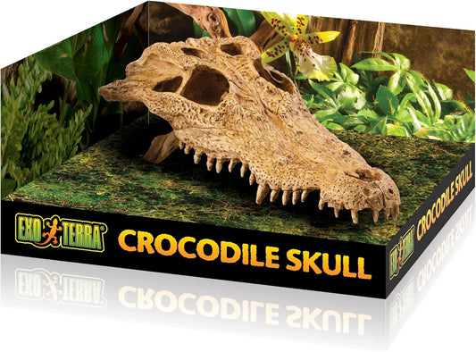 Exo Terra Crocodile Skull Vivarium Decoration