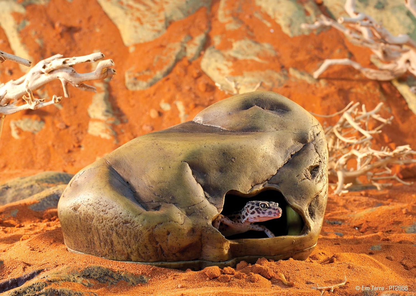 Exo Terra Gecko Cave Large