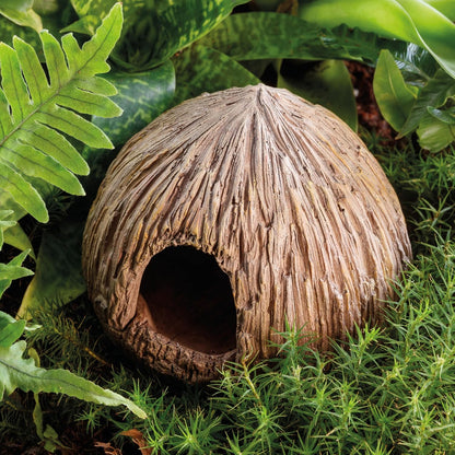 Exo Terra Coconut Cave Nesting & Egg-Laying Hide