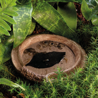 Exo Terra Coconut Cave Nesting & Egg-Laying Hide