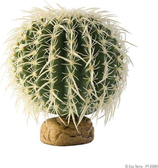 Exo Terra Barrel Cactus Medium
