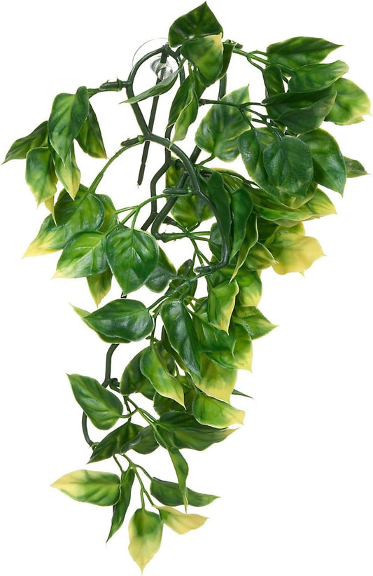 Exo Terra Amapallo Jungle Plant Small