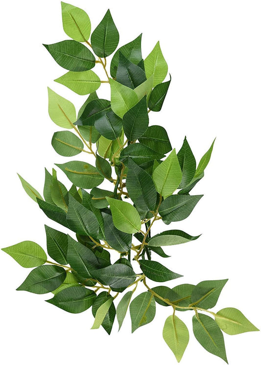 Exo Terra Ficus Silk Jungle Plant Medium