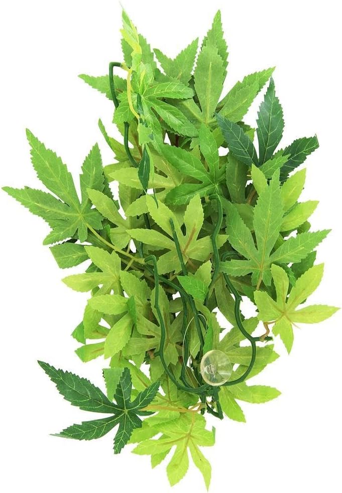 Exo Terra Abutilon Silk Jungle Plant Medium