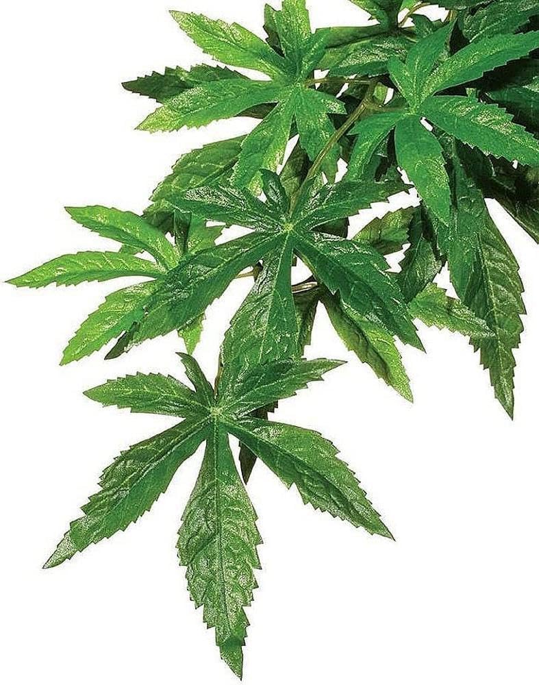 Exo Terra Abutilon Silk Jungle Plant Medium