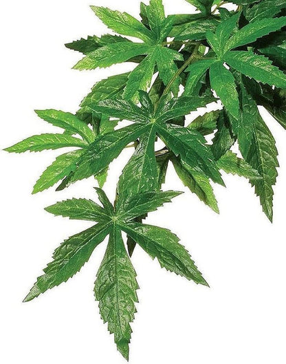 Exo Terra Abutilon Silk Jungle Plant Medium