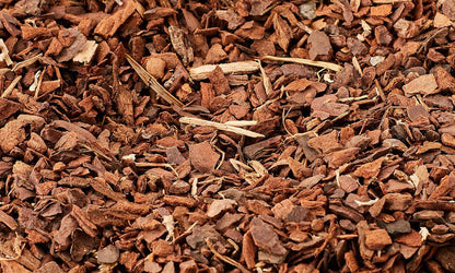 Exo Terra Rain Forest Substrate 26.4ltr
