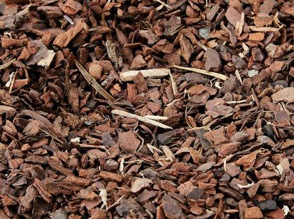 Exo Terra Rain Forest Substrate 8.8ltr
